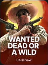 Slot Race Wild West